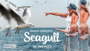 3215- 85 تصویر پوششی جغد و مرغ دریایی Owl.And.Seagull