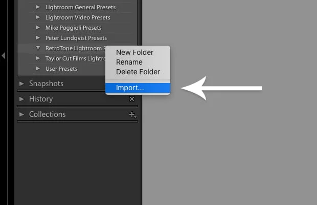 Import Lightroom Presets