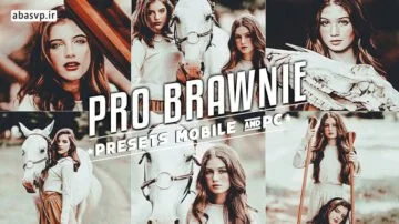 دانلود پریست رنگی براونی brawnie lightroom presets
