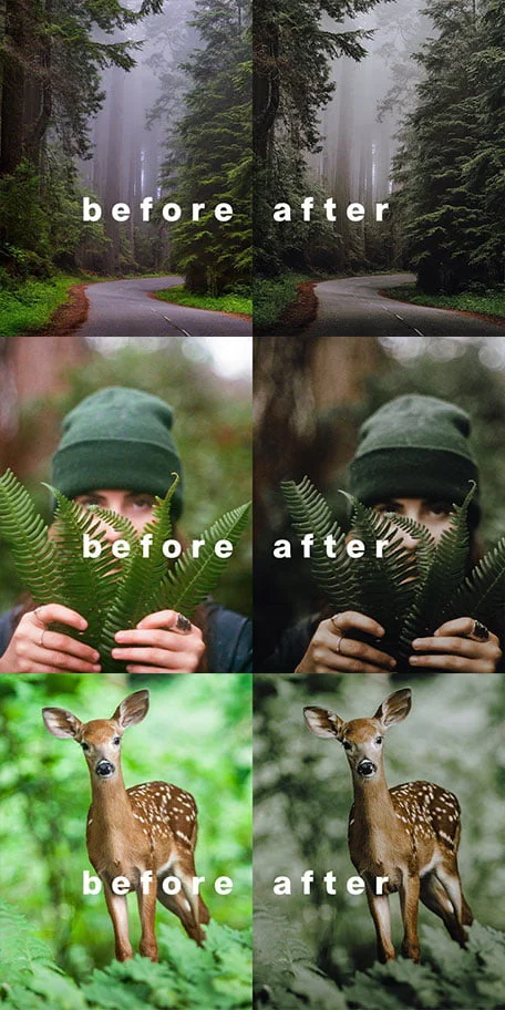 evergreen lightroom presets 5756318 1