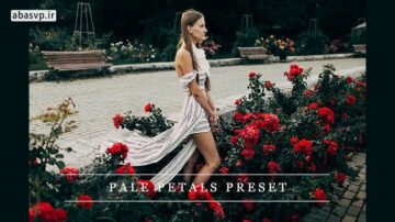 پریست Preset lightroom photoshop Pale petals