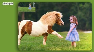تصویرلایه باز اسب Pony Photo Overlays