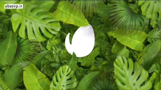 پروژه آماده افترافکت لوگو طبیعت Nature Logo