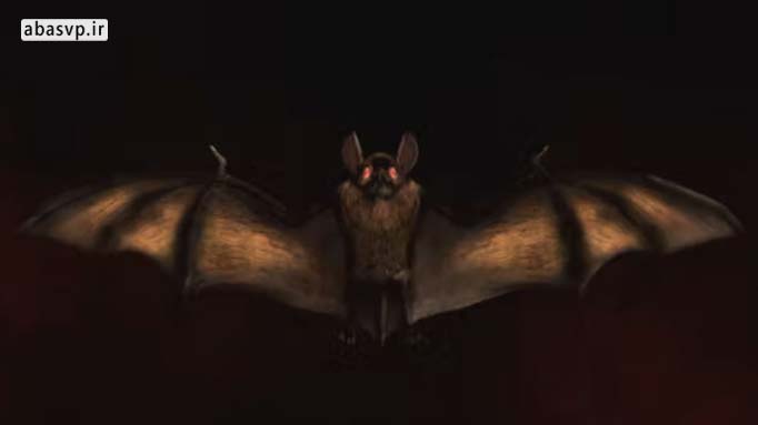 پروژه آماده افترافکت لوگو هالوین Halloween Bat