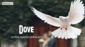 مجموعه تصاویر لایه باز کبوتر Dove Photo Overlays