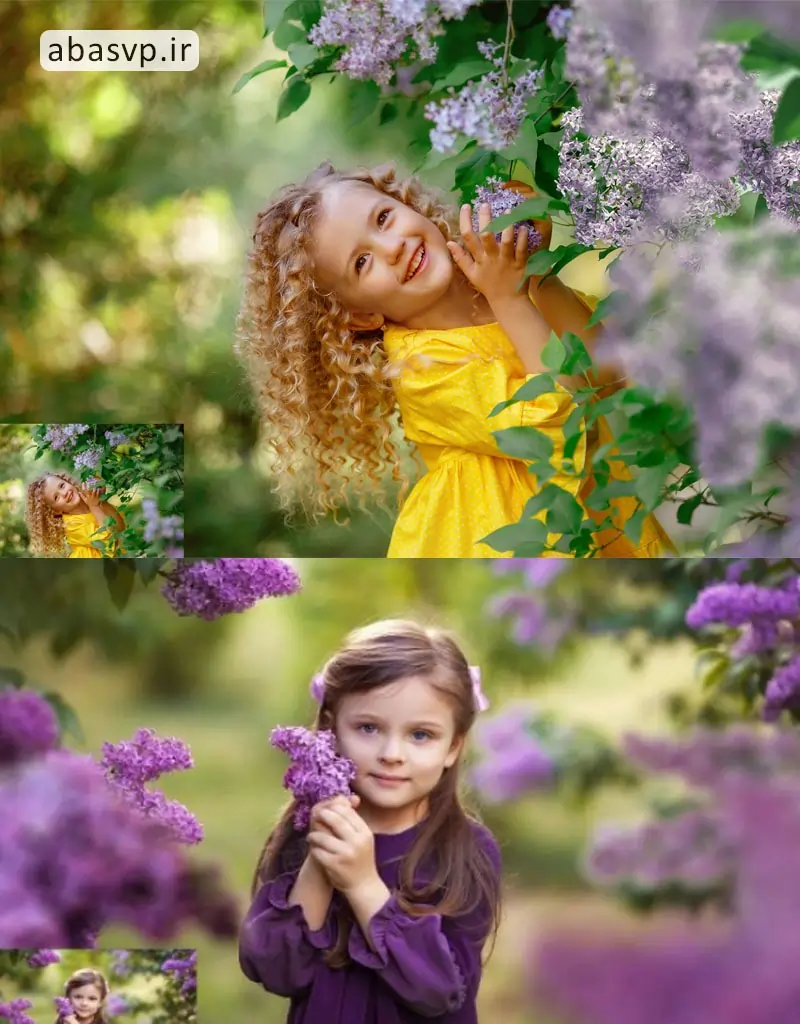 مجموعه 30 تصویر لایه باز گل یاس 30 Lilac Photo Overlays