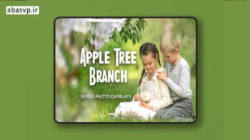 تصاویر شاخه درخت سیب Apple Tree Branch