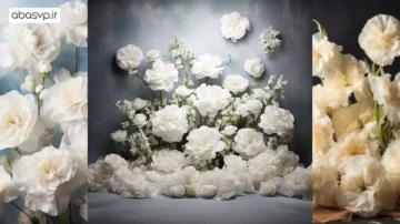 بک گراند عکاسی دکور گل White Carnation Flowers