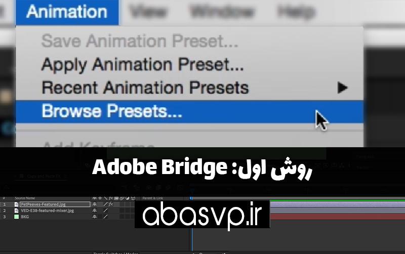 روش اول: Adobe Bridge