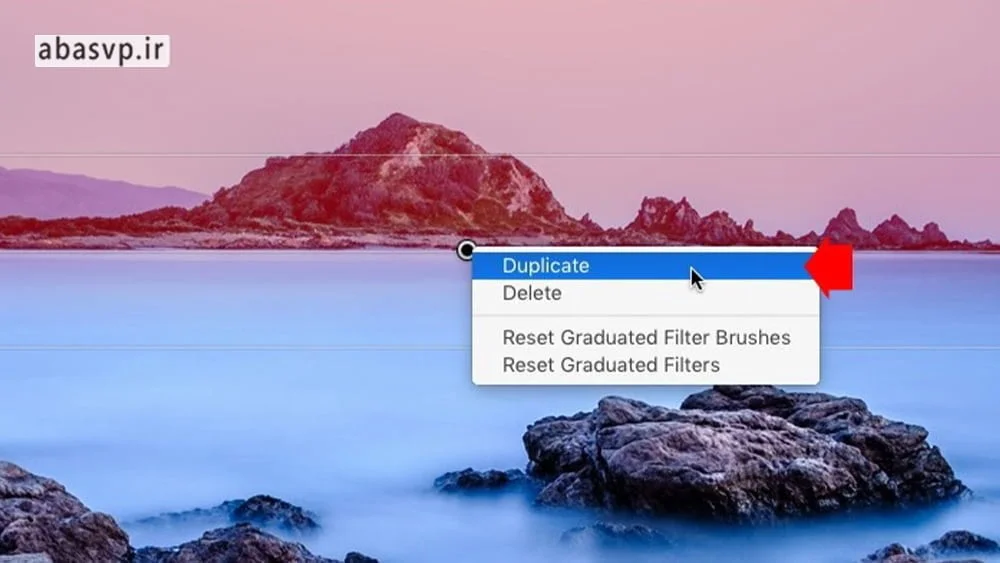 انتخاب Duplicate