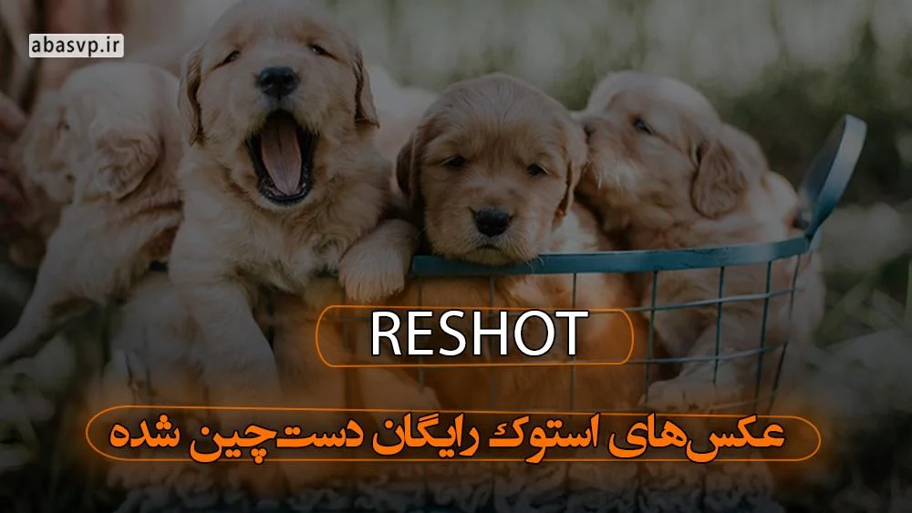 سایت Reshot