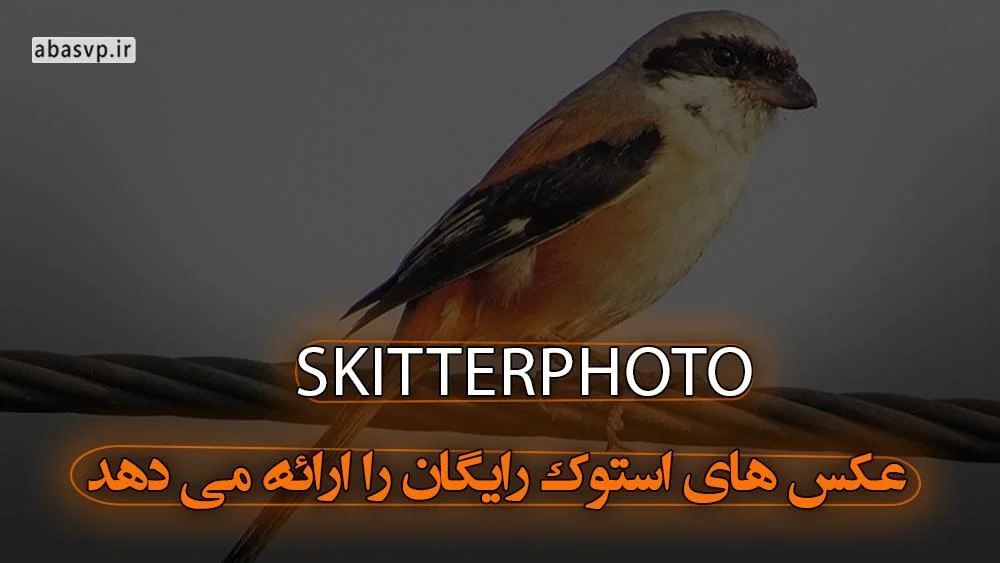 سایت SkitterPhoto